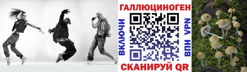 Псилоцибиновые грибы мицелий МЕГА ссылки Юрьев-Польский закладка