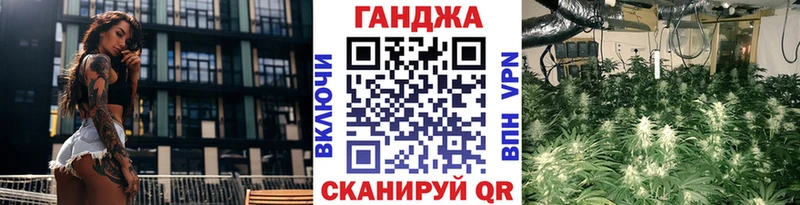 где найти наркотики  Юрьев-Польский  Конопля конопля 